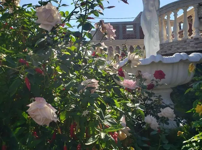 G And A House Daire Poros (Kefalonia)