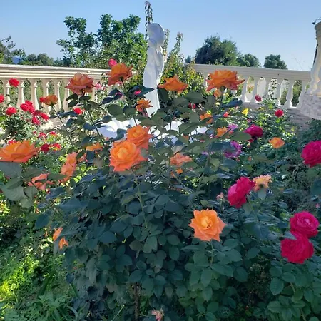 G And A House Порос