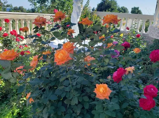 G And A House Порос